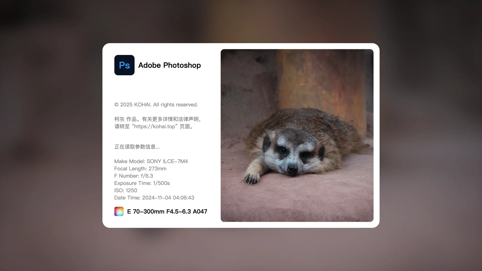 图片水印工具Copicseal v0.3.2