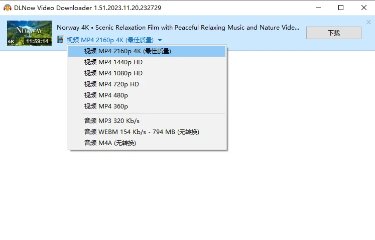 视频下载 DLNow Video Downloader v1.54.2025.11.01 中文版